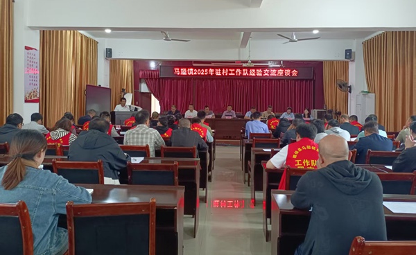 圖為馬隘鎮(zhèn)工作隊(duì)輪換經(jīng)驗(yàn)交流活動(dòng)現(xiàn)場(chǎng)。岑梅像攝