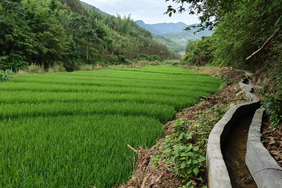 建成的水渠。李顯珠 攝