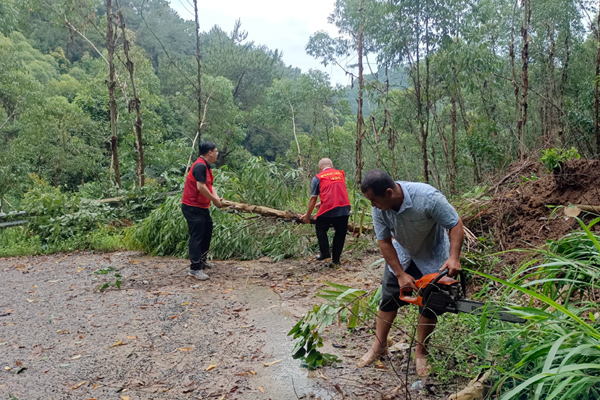 黨員志愿者和群眾在清理被風(fēng)吹倒的樹木。周清連攝