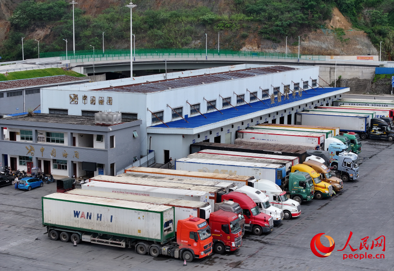 車輛停放整齊，等候查驗。人民網(wǎng) 雷琦竣攝