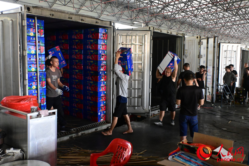 工人們搬運越南火龍果。人民網(wǎng) 雷琦竣攝