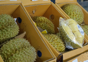 南寧市江南區(qū)：產(chǎn)地連銷地 高效流通市場旺泰國榴蓮、越南龍眼、印尼菠蘿蜜……進(jìn)入5月，大批量的東盟水果搶“鮮”上市。銷售量日均近1000噸，同比上漲72%。