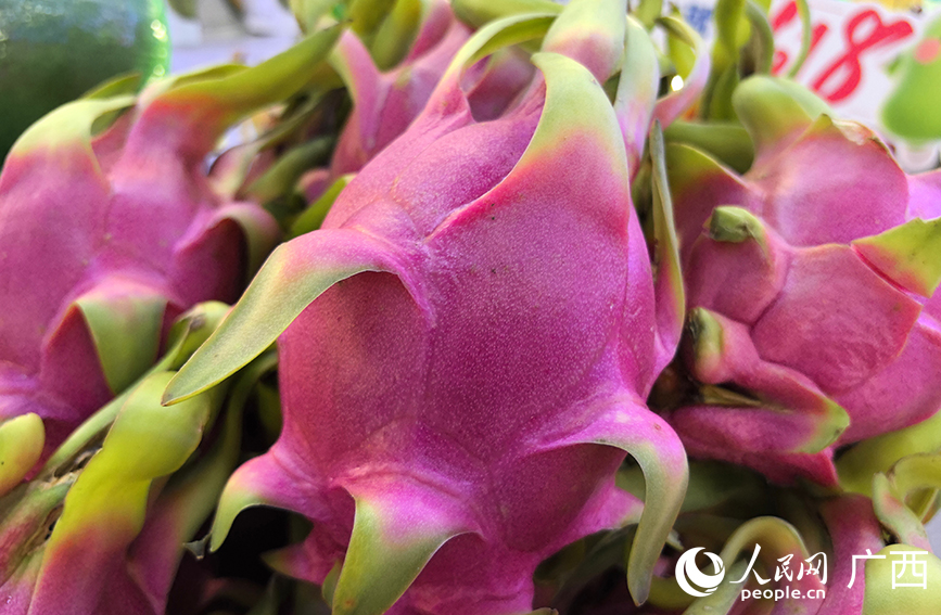 越南火龍果。人民網(wǎng) 付華周攝