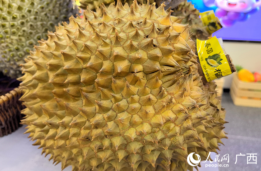 泰國(guó)榴蓮。人民網(wǎng) 付華周攝