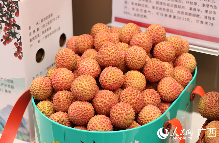 靈山荔枝。人民網(wǎng) 付華周攝