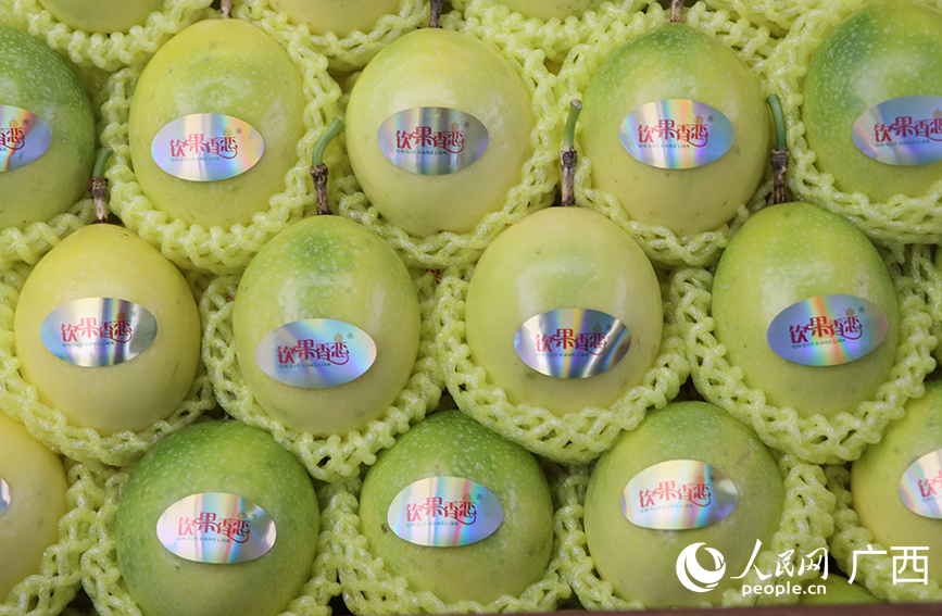 欽州百香果。人民網(wǎng) 付華周攝