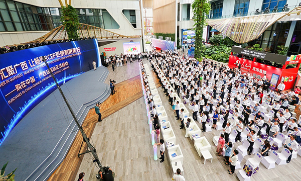 廣西為深化東盟水果產(chǎn)地合作搭橋梁