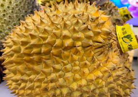 廣西將打造更多人工智能應(yīng)用場景 助東盟水果暢銷中國廣西愿與東盟國家一道，推動人工智能在水果品種研發(fā)、種植、采摘、加工、銷售等環(huán)節(jié)的運(yùn)用，打造更多垂直應(yīng)用場景，實現(xiàn)“東盟出產(chǎn)—廣西集散—中國暢銷”。