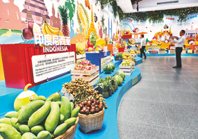 逾110家國內(nèi)大型采購商與供應(yīng)鏈企業(yè)齊聚南寧6月18日，“東盟水果 匯聚廣西 讓暢購RCEP更便利更美好——購在中國·廣西站”活動在南寧啟幕。逾110家國內(nèi)大型采購商與供應(yīng)鏈企業(yè)齊聚南寧，現(xiàn)場達(dá)成多項合作意向。