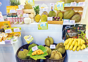 在廣西就能“炫”遍東盟水果廣西正積極打造面向東盟的水果貿(mào)易樞紐，助力實現(xiàn)東盟水果走上國內(nèi)餐桌的“恒溫接力”，從異國枝頭走到全國果籃的“嘗鮮之旅”。不少企業(yè)表示看好廣西首站樞紐優(yōu)勢，并暢談未來合作發(fā)展前景。