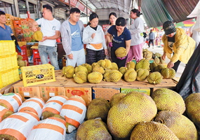 東盟鮮果從枝頭直達(dá)中國百姓餐桌RCEP框架下，廣西如何讓榴蓮從異國枝頭直達(dá)中國百姓餐桌？6月18日，“東盟水果 匯聚廣西 讓暢購RCEP更便利更美好——購在中國·廣西站”活動在南寧舉行，一場東盟水果盛宴就此拉開序幕。