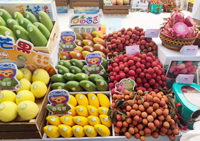 廣西為東盟水果及RCEP優(yōu)品合作打造橋梁廣西是中國面向東盟開放合作的前沿和窗口，也是全國水果產(chǎn)量第一的省區(qū)和東盟水果進(jìn)入中國的“門戶樞紐”。廣西口岸從東盟進(jìn)口水果超180億元、180萬噸，約占全國進(jìn)口東盟水果三分之一。