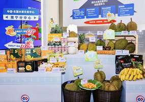 廣西打造東盟水果進(jìn)入中國的“門戶樞紐”廣西有22個對外開放口岸，覆蓋水陸空全類型，擁有12個進(jìn)境水果指定監(jiān)管場地、全國最多。憑祥友誼關(guān)口岸是中國最大的陸路水果進(jìn)出口口岸之一，覆蓋榴蓮、山竹、火龍果等20多種準(zhǔn)入水果。