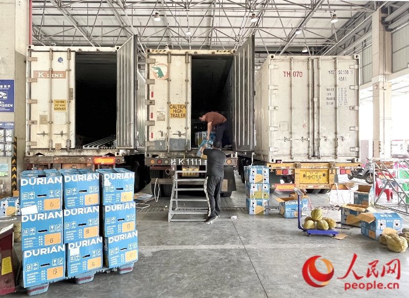 批發(fā)榴蓮的檔口。人民網(wǎng) 韋歡攝