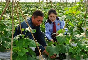 稅惠精準服務助春耕