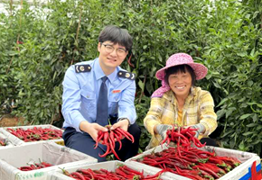 稅惠澆灌沃土 繪就現代農業(yè)發(fā)展新畫卷