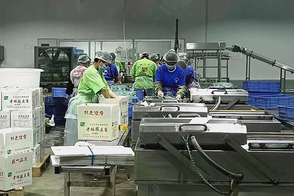 “同古酸菜”無(wú)菌化處理生產(chǎn)車間一角。唐梓耀攝