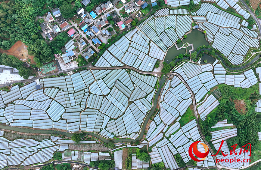 俯瞰毛竹山村。人民網(wǎng) 雷琦竣攝