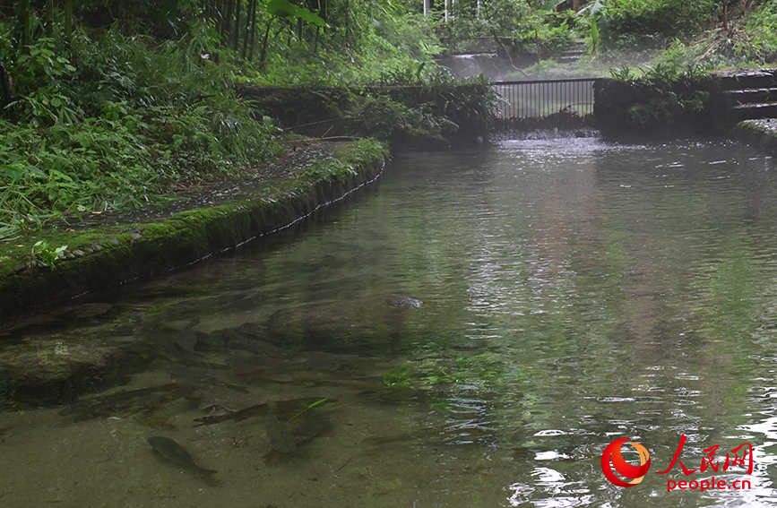 貓兒山腳下的河水清澈見底。人民網(wǎng) 雷琦竣攝