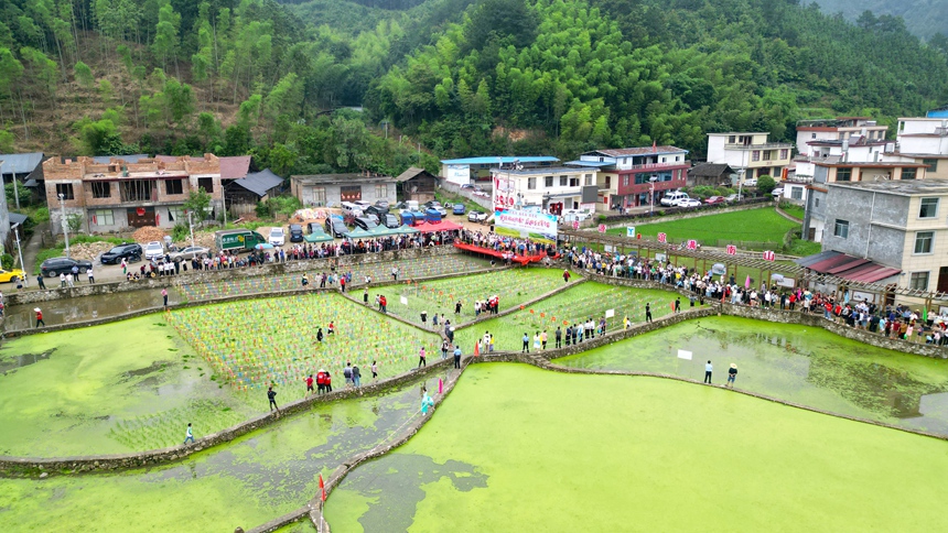 瓜里鄉(xiāng)白竹村舉辦一年一屆的瓜田壟里春耕育苗活動，熱鬧非凡