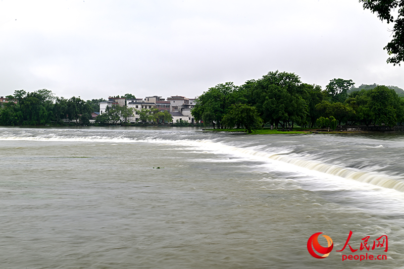 桂林靈渠如今還發(fā)揮著作用。人民網(wǎng) 雷琦竣攝