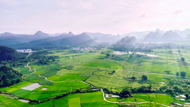 高標(biāo)準(zhǔn)農(nóng)田建成后，連片設(shè)施齊，科技示范廣。