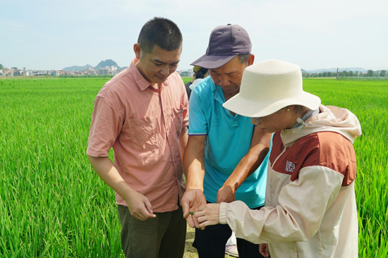 農(nóng)技人員向農(nóng)戶(hù)傳授實(shí)用技術(shù)。黃桂蘭攝