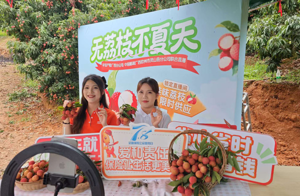 平安主播正在直播。平安產險廣西分公司供圖