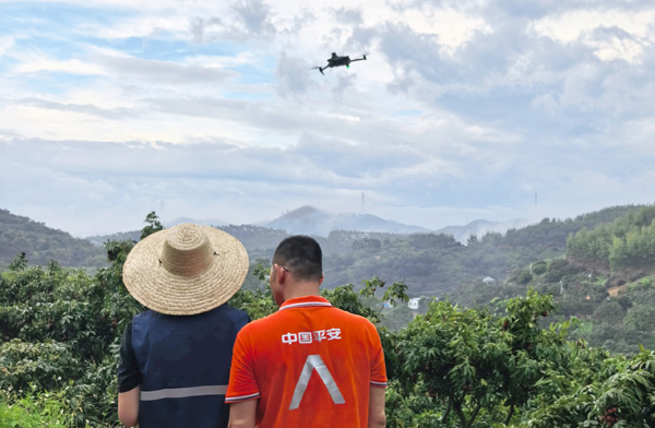 通過無人機航拍+AI大模型等技術手段，實現保險與科技的深度融合。平安產險廣西分公司供圖