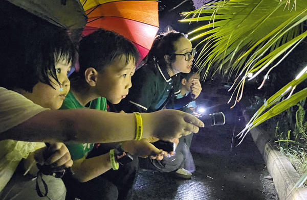 同學(xué)們冒雨夜探青秀山，尋找神秘的夜行小動(dòng)物。