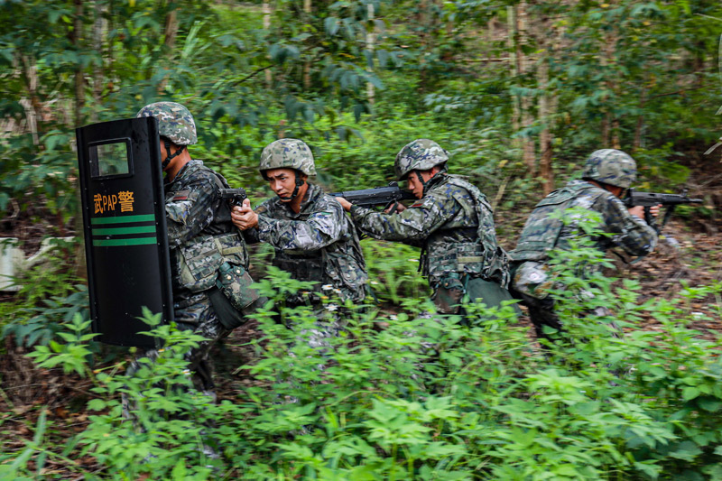 協(xié)同搜索。王藝涵攝