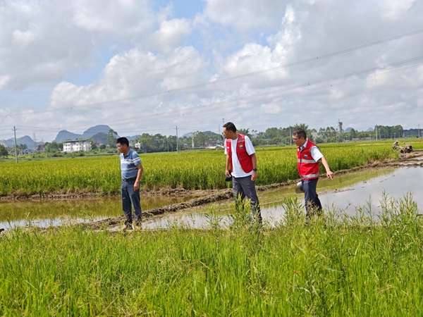 自治區(qū)審計(jì)廳駐武宣縣復(fù)旦村工作隊(duì)調(diào)研村基礎(chǔ)設(shè)施。