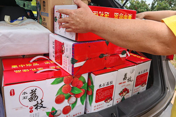 包裝好的水石荔枝準備裝車銷售。甘敏容攝