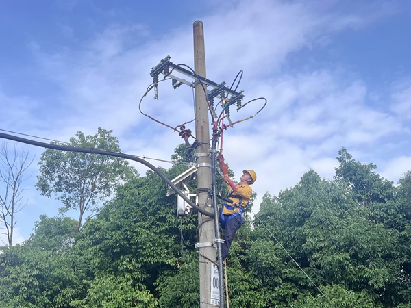 青年職工在桿上進(jìn)行驗(yàn)電作業(yè)。林詩琪攝