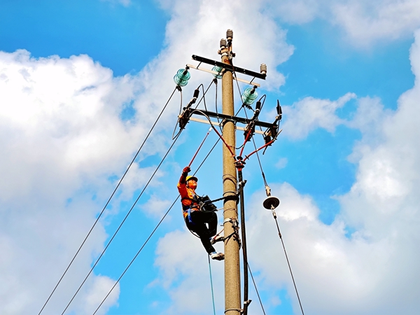 職工在進(jìn)行桿上驗(yàn)電。蔡星宏攝