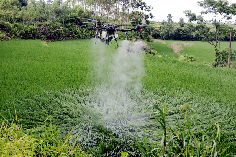 植保無人機均勻噴灑出細密的藥霧。