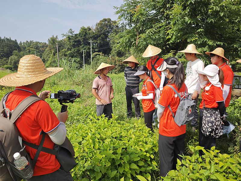 拍攝桑苗種植園。徐境懋?dāng)z