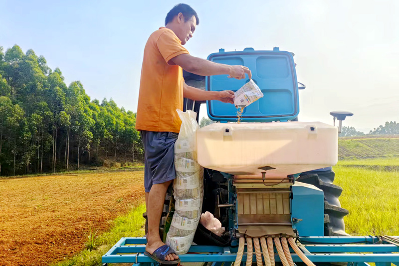 技術(shù)員向儲種箱傾注種子。