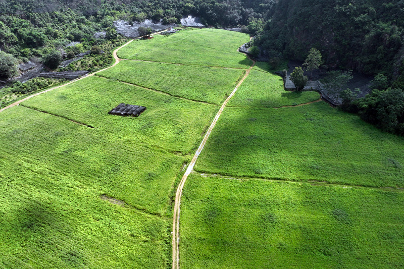 鳳仙花種植基地航拍。馬必良攝