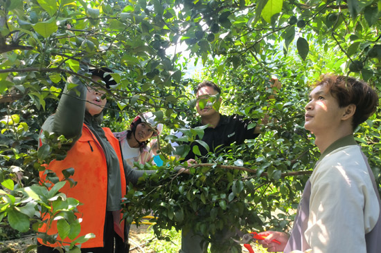 圖為農(nóng)技專家向參訓(xùn)群眾講解柑橘管護(hù)技術(shù)