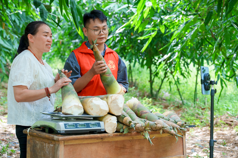 駐村第一書記和村民面對手機(jī)鏡頭，向網(wǎng)友熱情推介鮮筍