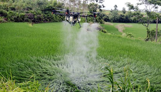 平桂區(qū)：植保無人機(jī)“飛防”保豐收