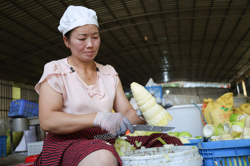 工人正在進行八渡筍削青皮工作。趙蘭香攝