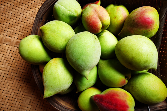 新鮮采收的鷹嘴桃