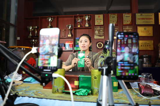 八桂凌云茶企主播“思諾”正對著手機鏡頭介紹白毫茶。周俊位攝