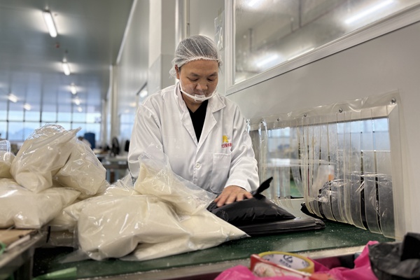 興農食品公司大化現(xiàn)有工廠工人在分裝白糖。廣西廣路集團供圖