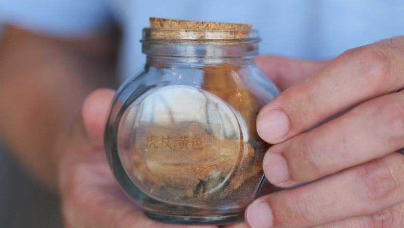 行進(jìn)中國(guó)丨把植物“穿”在身上的綠色未來(lái)梔子、黃櫨、板藍(lán)根都能“穿著于身”？衣服可以回歸自然健康？在風(fēng)光旖旎的桂林，一座名為“十如”的可持續(xù)發(fā)展園林，將這份探索制造業(yè)與自然融合的答案藏于山水之間。