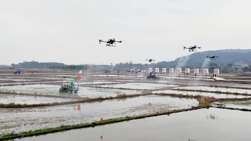 無人駕駛耕地機、插秧機以及農(nóng)用型無人機等各種智能化農(nóng)用機械，今年在玉林早稻種植中頻頻亮相