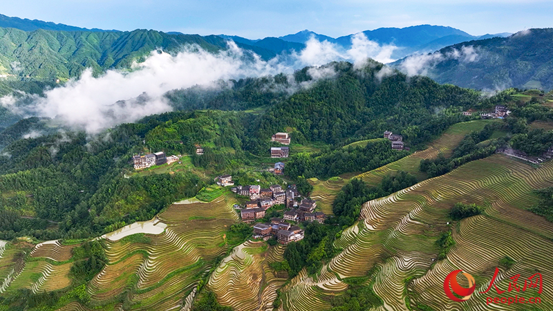 龍脊梯田的云海景觀。人民網(wǎng) 雷琦竣攝