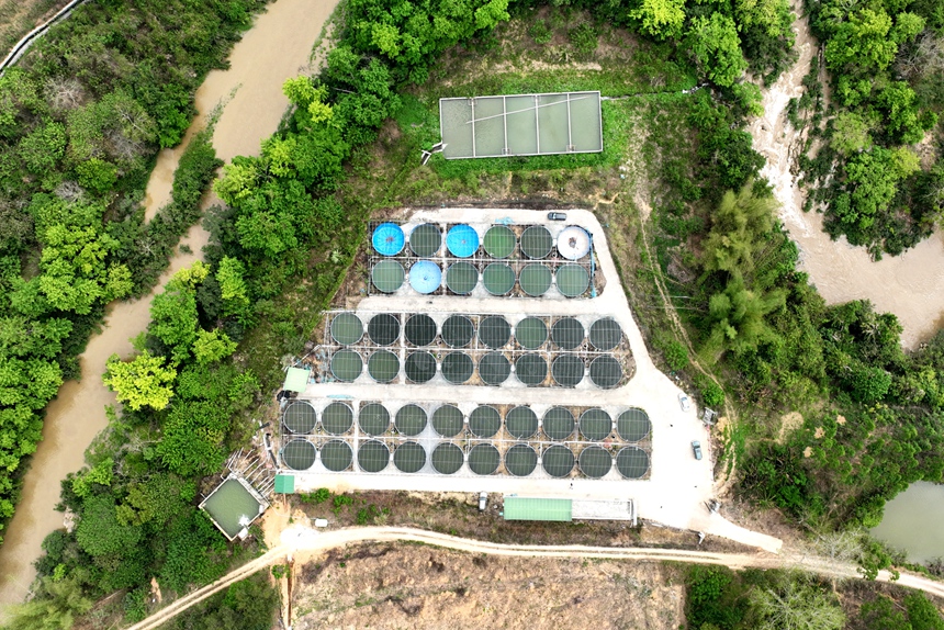 榮華鄉(xiāng)路基養(yǎng)魚基地。黎玉聰攝